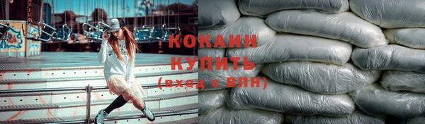 винт Снежногорск