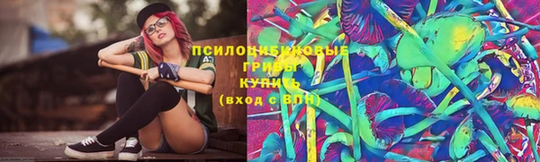 винт Снежногорск