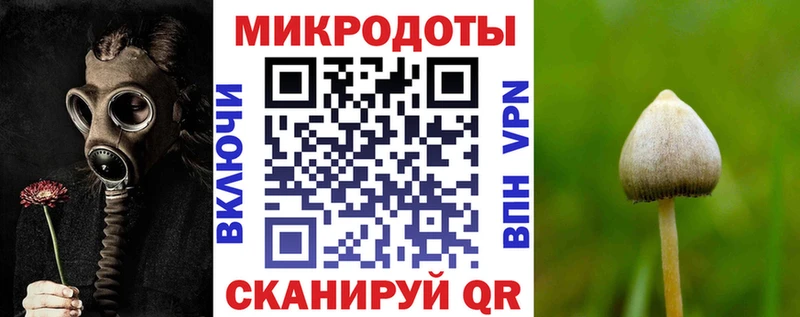 Купить закладки  Томилино  Галлюциногенные грибы Psilocybine cubensis 